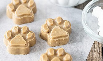 醫護飼養貼士-營養需要