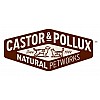 Castor&pollux