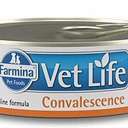 Vet Life Cat Convalescence 貓用高營養照護配方濕糧 85g x 12罐 Vet Life Cat Convalescence 貓用高營養照護配方濕糧 85g x 12罐