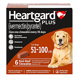 Heartgard Plus Chewables for Dogs L  (51lbs to 100lbs - Brown)