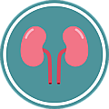 泌尿/腎臟