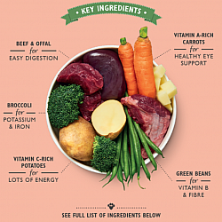 Lily's Kitchen - Grain-Free Cottage Pie Can for Dogs 400g Lily's Kitchen - Grain-Free Cottage Pie Can for Dogs 400g