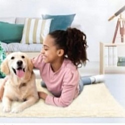 Full Creation 恆溫調整寵物床墊 (防滑) (尺寸:102x76cm) Full Creation 恆溫調整寵物床墊 (防滑) (尺寸:102x76cm)