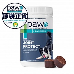 PAW 狗用關節護理健康咀嚼片 500g 100粒裝