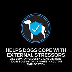 Pro Plan Dog Calming Care Probiotic Supplement (30 Sachets) 