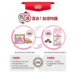 Royal Canin Cat First Age Mother & Babycat 離乳貓及母貓營養配方 貓糧 2kg