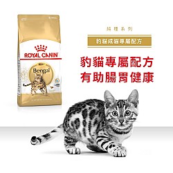 Royal Canin Cat Bengal Adult 豹貓成貓專屬配方 10公斤
