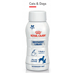 Royal Canin Dog & Cat RECOVERY LIQUID 促進恢復處方 貓狗共用 營養液體食品 200ml x 3支