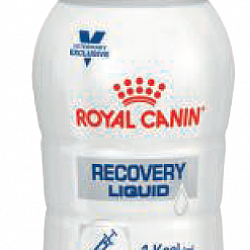 Royal Canin Dog & Cat RECOVERY LIQUID 促進恢復處方 貓狗共用 營養液體食品 200ml x 3支