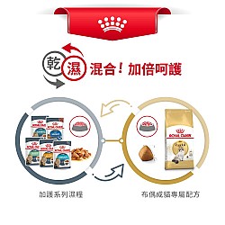 Royal Canin Ragdoll Adult 2kg