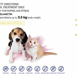 Revolution Flea and Worm Prevention For Kittens & Puppies (Mauve 5lbs or less) #Pink Revolution Flea and Worm Prevention For Kittens & Puppies (Mauve 5lbs or less) #Pink