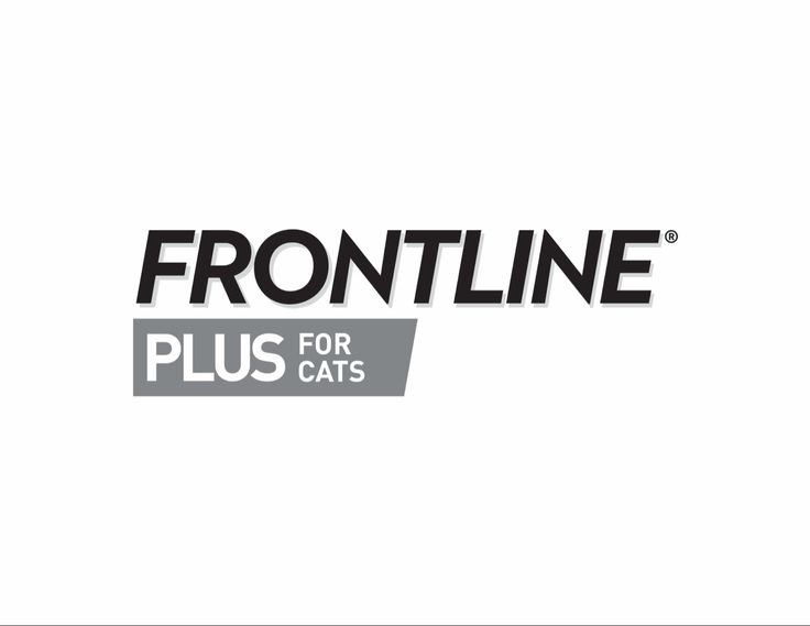 FRONTLINE