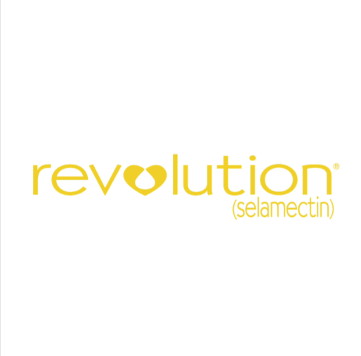 Revolution