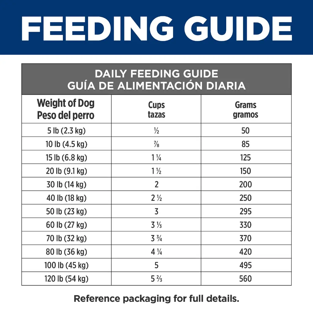 WhatsApp Image 2026-01-.webp