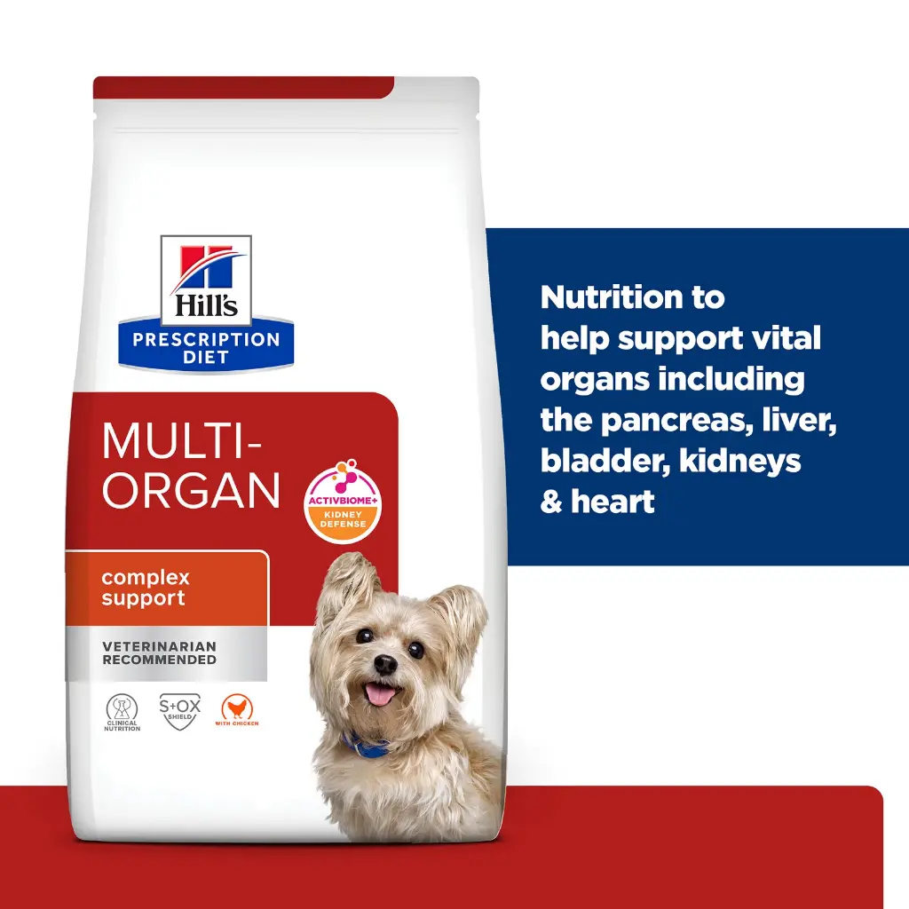 WhatsApp Image 2026-01-21 at 12.40.25.webp