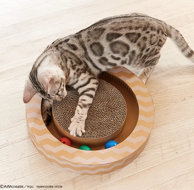 GariGari_Nyancoroby_Circle_34x34x5cm_2.webp