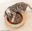 GariGari_Nyancoroby_Circle_34x34x5cm_2.webp