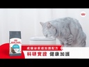 youtube - [Video]