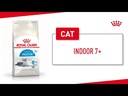 youtube - [Video]