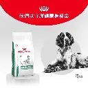 da133df4-7ec3-4f8d-b9e2-8e8c3cb079b6.webp