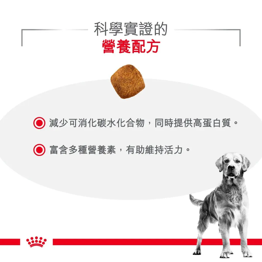 a82e31bd-3551-45f3-b1b7-b26e1715a635.webp