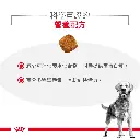 a82e31bd-3551-45f3-b1b7-b26e1715a635.webp