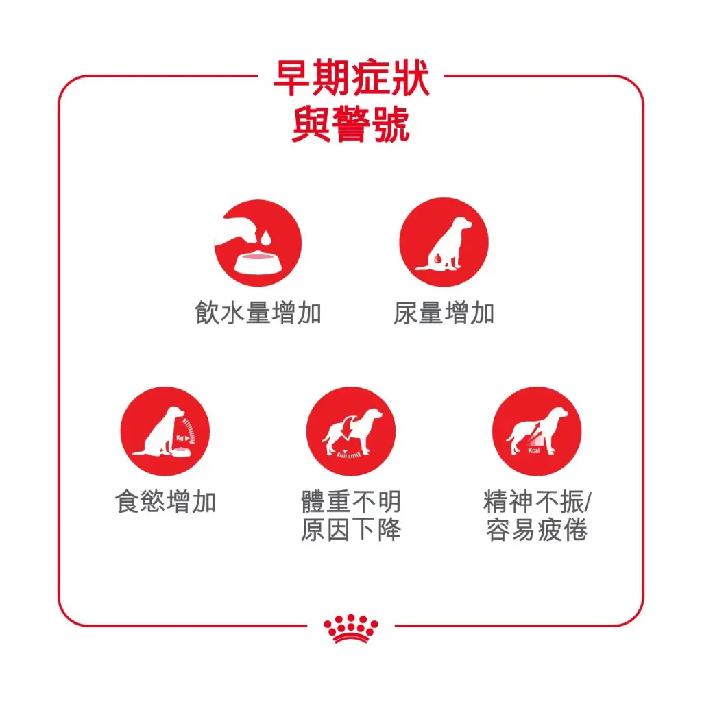8f608af2-0390-40c9-a204-7afbe79c4bd2.webp