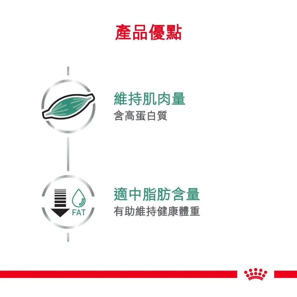 6d82c6bf-4ce9-489b-9370-824e21867c5b.webp