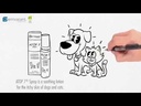youtube - [Video]