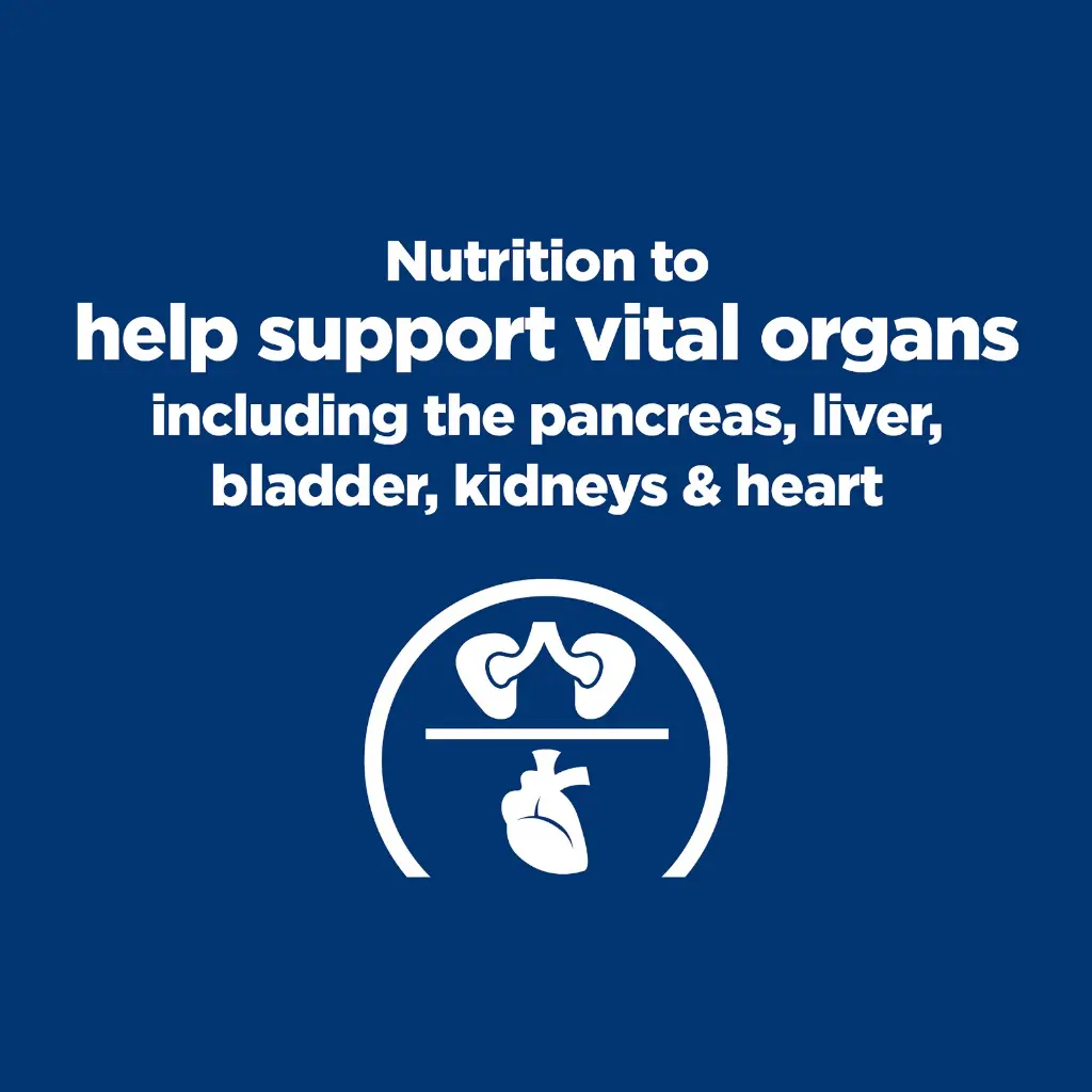 WhatsApp Image 2026-01-21 at 13.03.30.webp