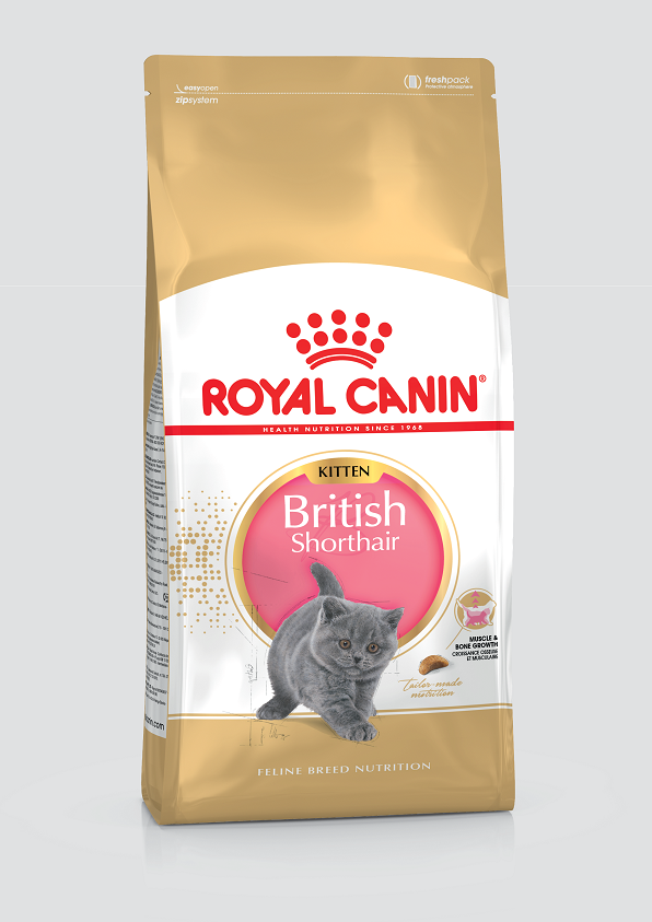 Royal Canin Cat Kitten British Shorthair (For 12 months or under) Dry Cat Food 2kg