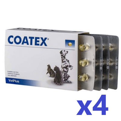 Vetplus Coatex 皮膚毛髮保健膠囊 240 粒