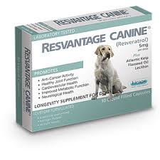 Resvantage for Dogs 30 caps