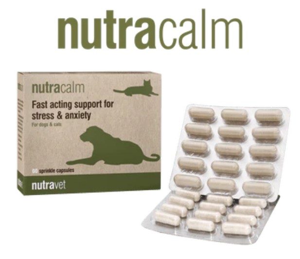Nutravet Nutracalm 情緒/行為護理 補充膠囊 (貓狗合用) 每盒15粒膠囊