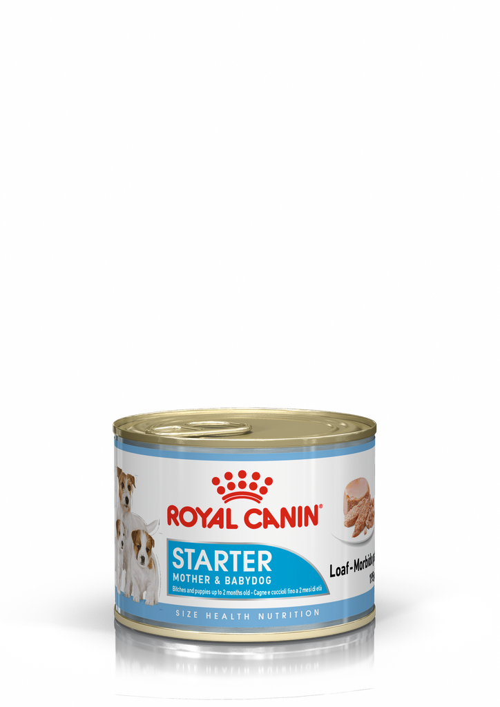 Royal Canin Starter Can 195g*12