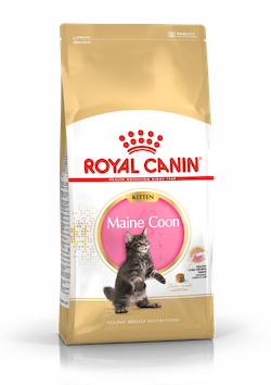 Royal Canin Cat 緬因幼貓專屬配方 幼貓糧 10kg
