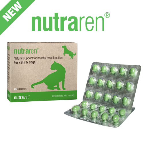 Nutravet Nutraren (Renal Support) Supplement For Cats & Dogs 45 Capsules