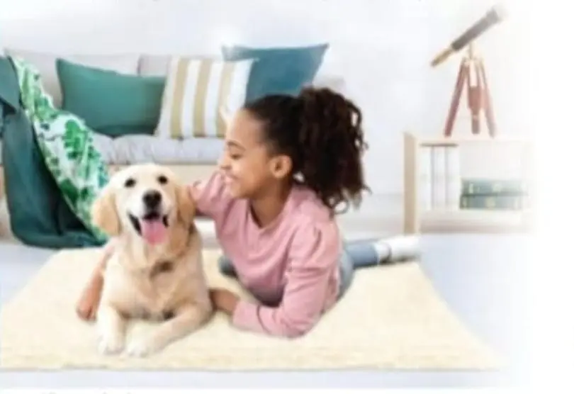 Full Creation 恆溫調整寵物床墊 (防滑) (尺寸：71x61cm)