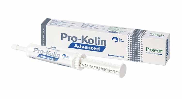 Protexin Pro-Kolin Advanced for Dogs 30ml (Advanced support for gastrointestinal health in dogs)