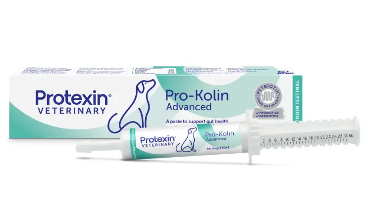 Protexin Pro-Kolin Advanced for Dogs 30ml 