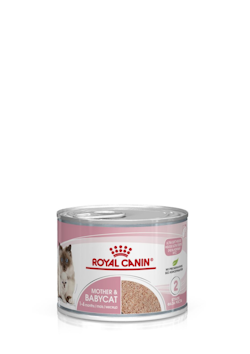 Royal Canin  健康營養系列 離乳貓及母貓營養 主食罐頭 195g x 12