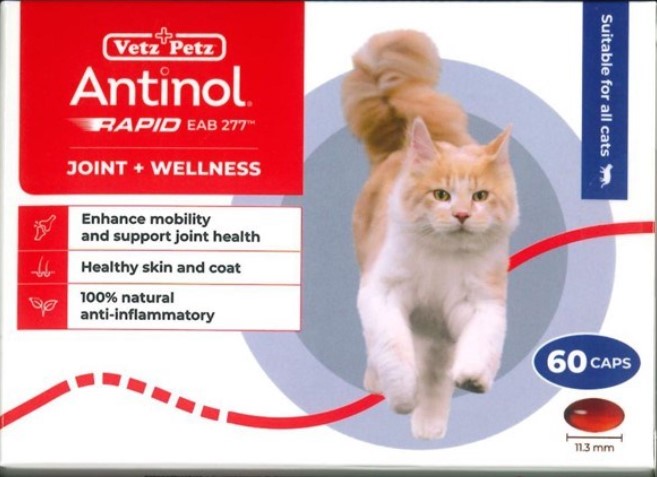 Vetz Petz ANTINOL Rapid (Supoort & Management of Healthy Joint) Supplement For Cats 60 Capsules