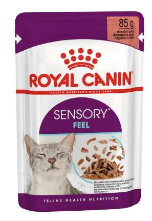 ROYAL CANIN - FHN Sensory Feel Adult Cat (Gravy) 85gx12