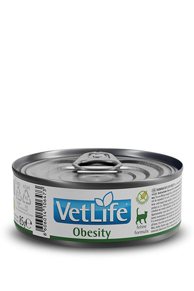 Vet Life Obesity  貓用肥胖照護配方濕糧 85g x 12罐