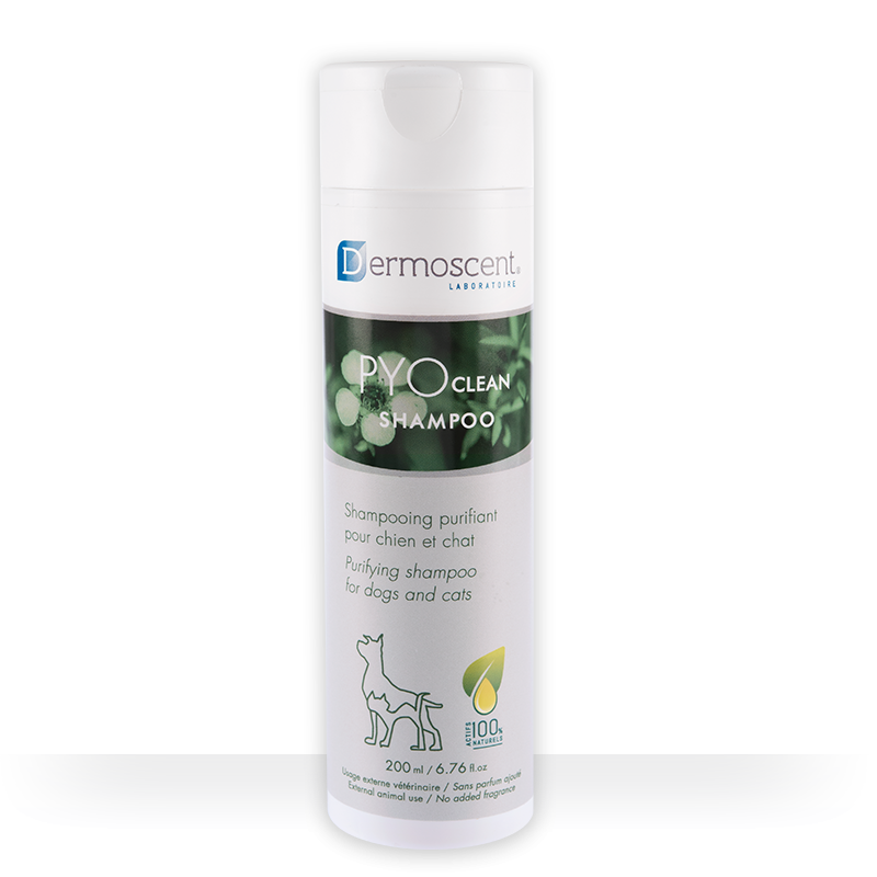 DERMOSCENT PYOClean Shampoo For Dogs & Cats 200ml