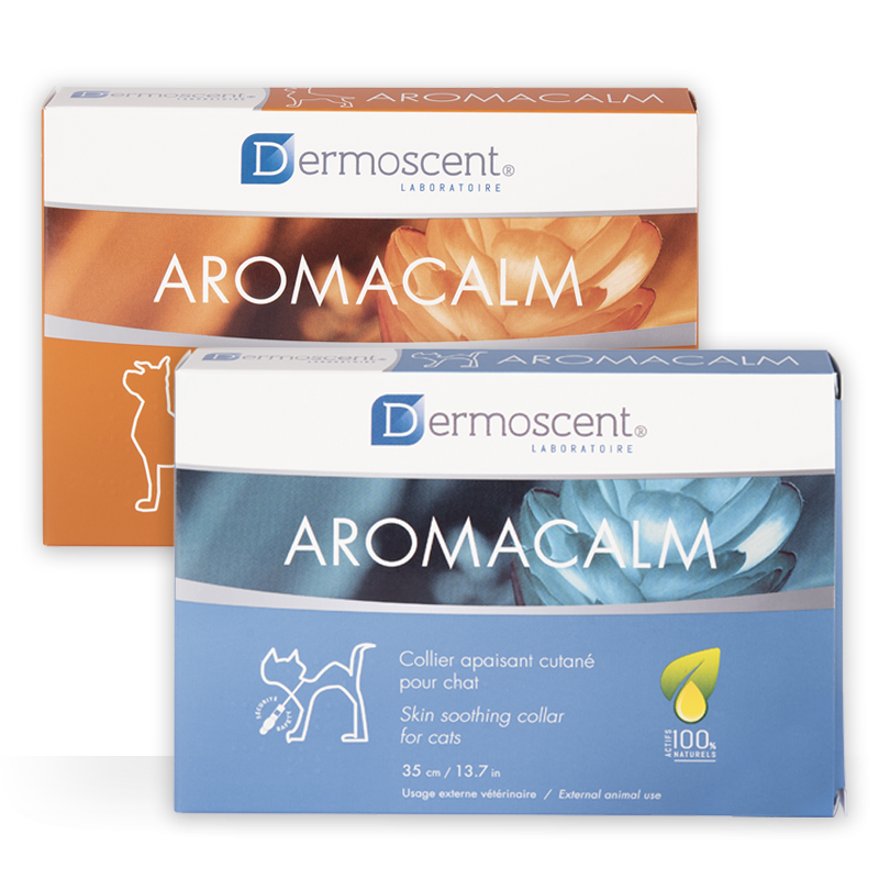 DERMOSCENT 狗用緒安定項圈 60釐米