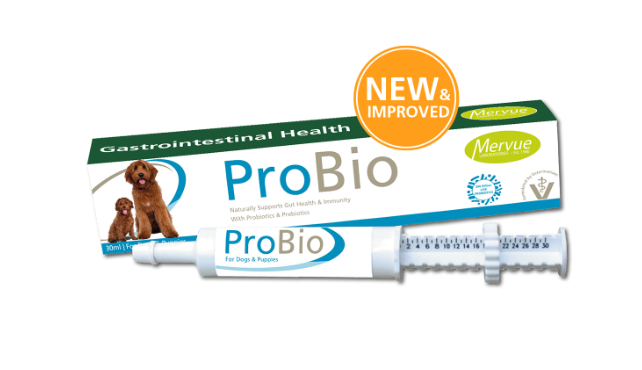 Mervue ProBio 犬用胃腸爽益生菌康復凝膏 30ml
