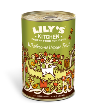 Lily's Kitchen Meat Free Wholesome Veggie Feast Canned Dog Food 375g