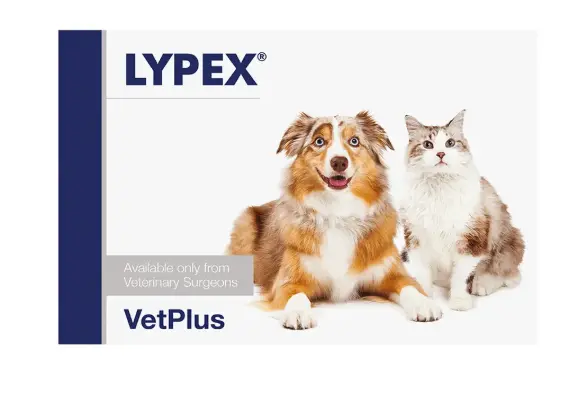 VetPlus Lypex Pancreatic Enzyme For Dogs & Cats 60 Capsules