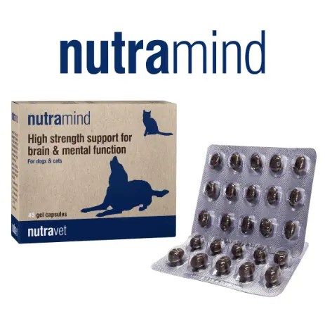 Nutravet Nutramind (Support For Brain & Mental) Supplement For Cats & Dogs 45 Capsules